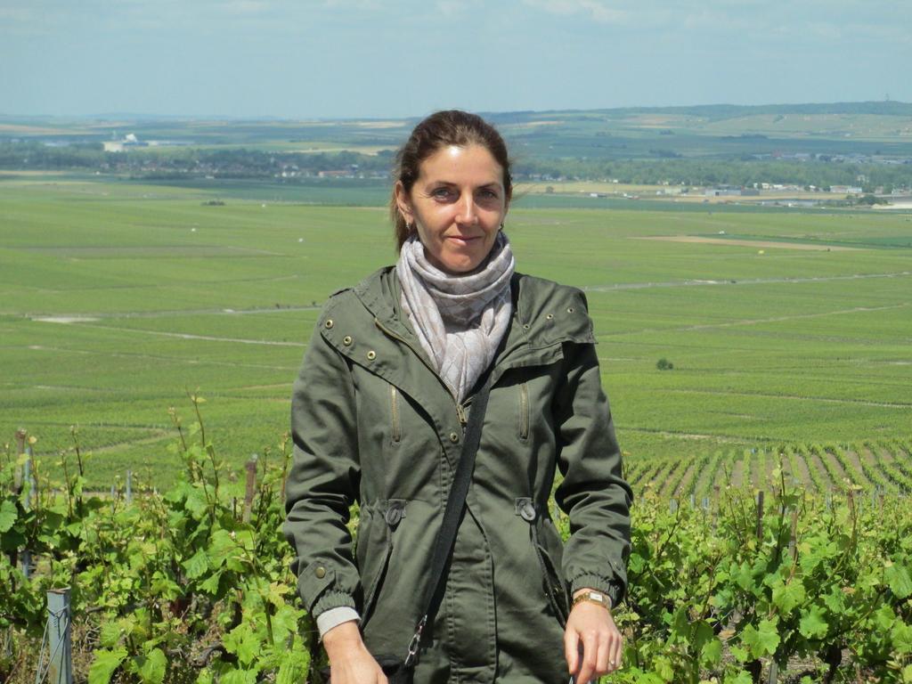 Gites Les Colombages Fatouville-Grestain Buitenkant foto